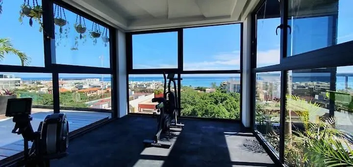 Suite Lujo Recien Construido En Quinta Avenida Playa del Carmen Apartment